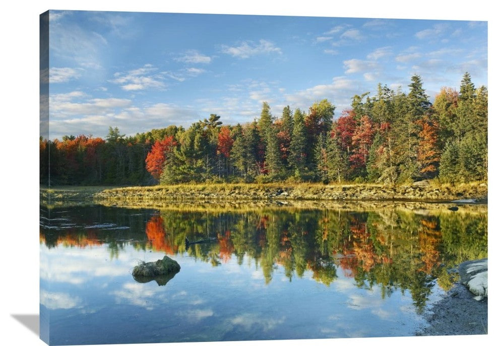 "Coastline, Mount Desert Island, Maine" Artwork, 40" x 30"