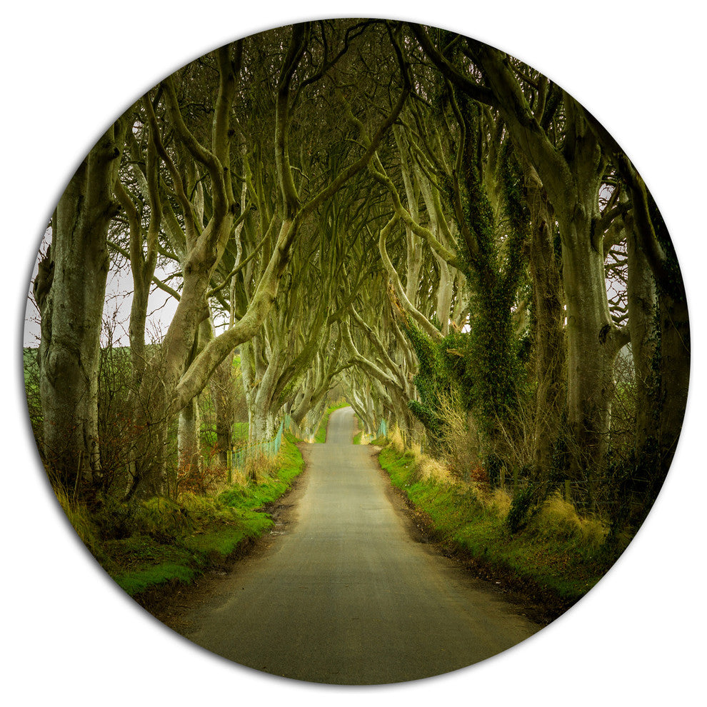Dark Hedges Road Through Old Trees, Landscape Disc Metal Artwork, 11"
