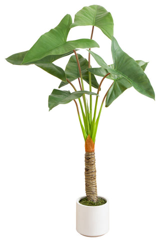 Artificial Arrowhead Philodendron, White Decorative Planter, 4.5ft.