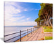 "Promenade And Pine Trees in Italy" Landscape Wall Art Print, 20"x12"