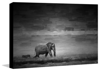 "Elephant" UV Ink Print on Brushed  Aluminum, 36"x24"