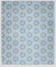 30 x 40 in Chickens-go-round Throw Blanket, After Rain Blue