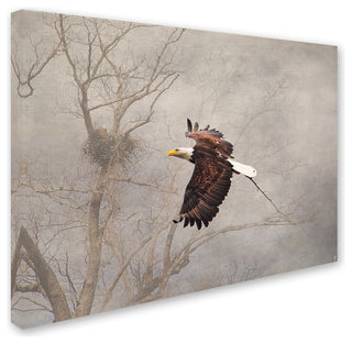 Jai Johnson 'Starting Over Bald Eagle' Canvas Art, 47 x 35