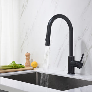 Brass Single Handle Pull Out Kitchen Faucet, Matte Black