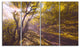 Bicycle Ride in Fall Forest, Landscape Canvas Art Print, 48"x28", 4 Panels