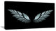 Angel Wings on Black Background, Abstract Canvas Art Print, 32"x16"