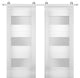 Double Barn Doors Opaque Glass / Sete 6003 White Silk / Silver 13FT Rail, 48" X 80" ( 2* 24x80)