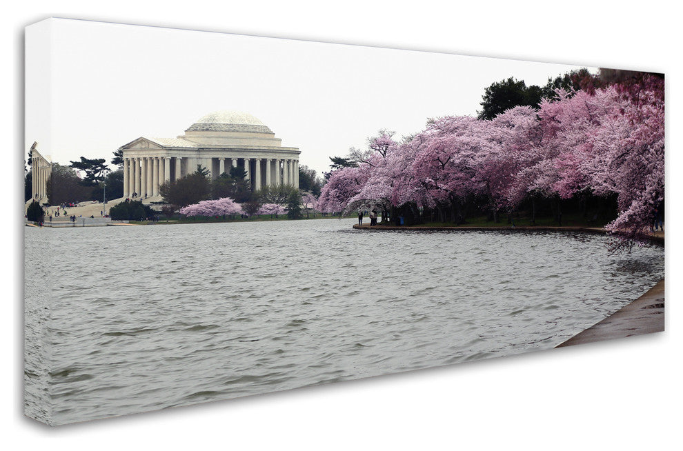 CATeyes ''Basin Blossoms'' Canvas Art, 16x32