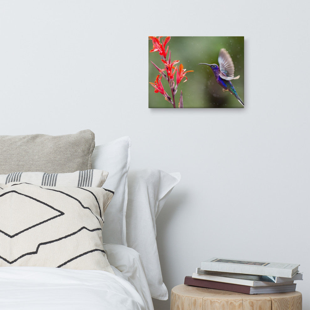 Hummingbird with Little Red Flowers Wildlife Photograph Canvas Wall Art Prints, 12" X 16"