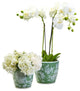 Two's Company Countryside Set of 2 Hand-Painted Green Cachepot / Planter / Vases