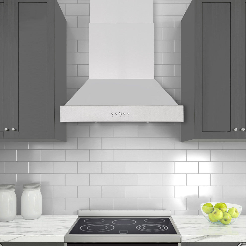 30 in. Wall-Mounted Range Hood in Stainless Steel