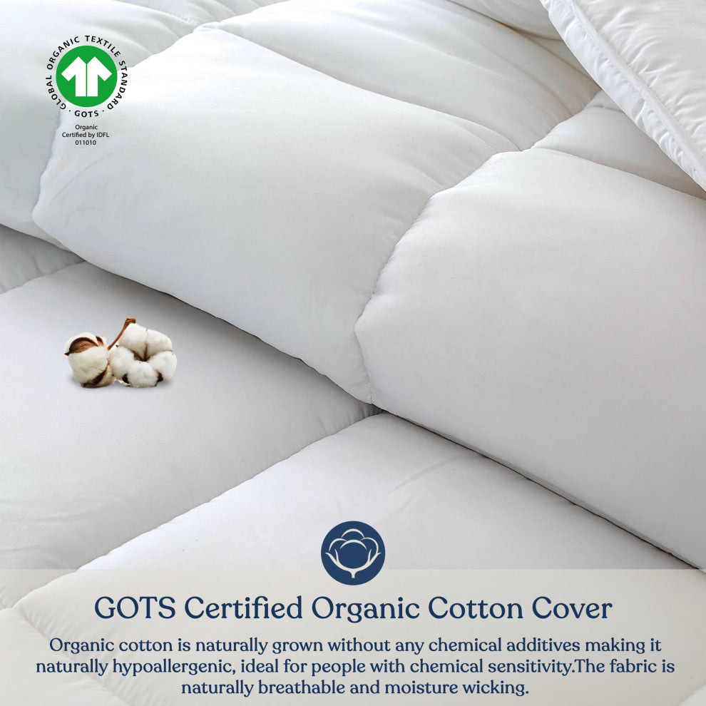 Delara GOTS Certified Lightweight Duvet Insert 300GSM Fill Weight 400TC, King, 108"x92"
