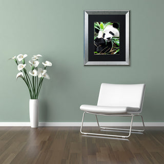 Philippe Hugonnard 'Giant Panda I' Art, Silver Frame, Black Matte, 14"x11"