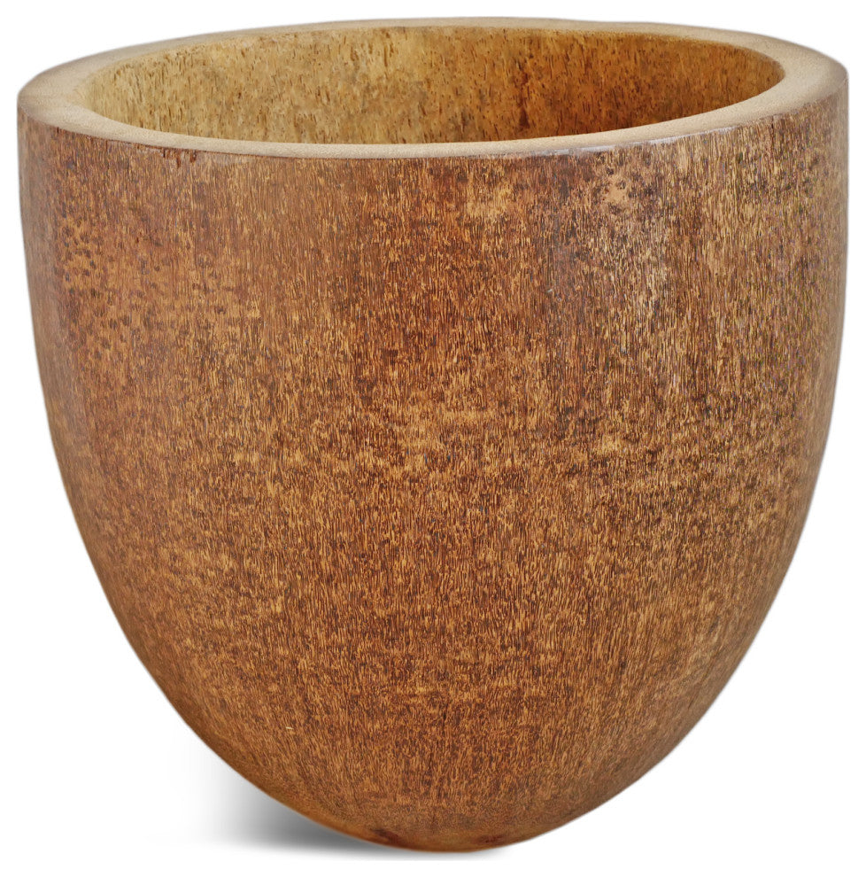 Coconut Palm Pot Short