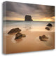 "Ballota" By Urtzi Vera, Giclee Print on Gallery Wrap Canvas, Ready to Hang