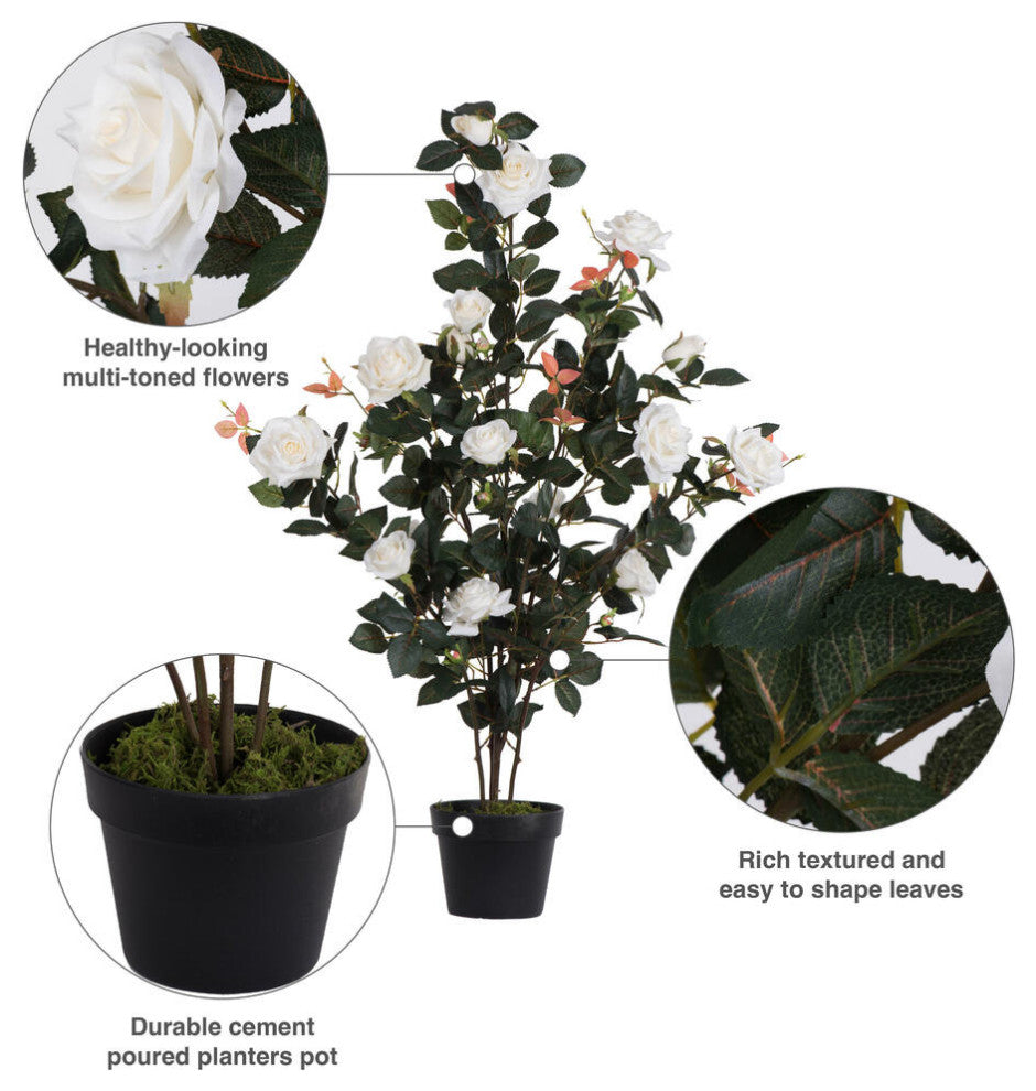 Vickerman 45" Rose Plant in Pot, White