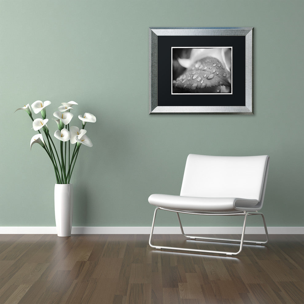 PIPA Fine Art ''Dew on Leaf of Rose Plant'' Matted Framed Art, 20x16