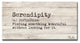 Ready2HangArt ''Define Serendipity'' Inspirational Canvas Art, 24"x48"