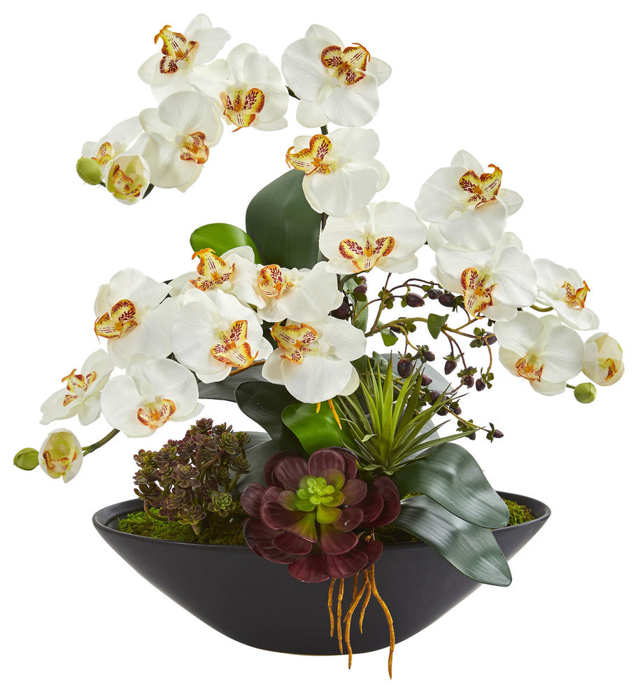 Phalaenopsis Orchid & Mixed Succulent Garden Artificial Arrangement in Cream