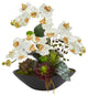 Phalaenopsis Orchid & Mixed Succulent Garden Artificial Arrangement in Cream