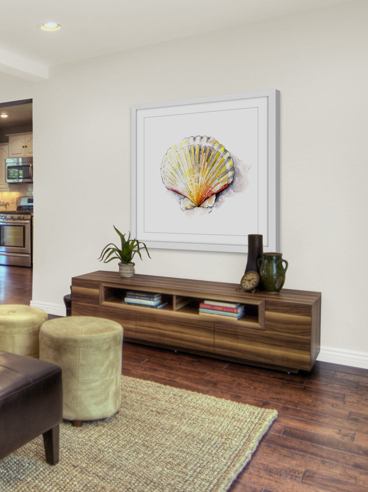 "Sea Scallop" Framed Print by Rachel Byler