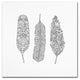 Filippo Cardu 'Feathers' Canvas Art, 14x14