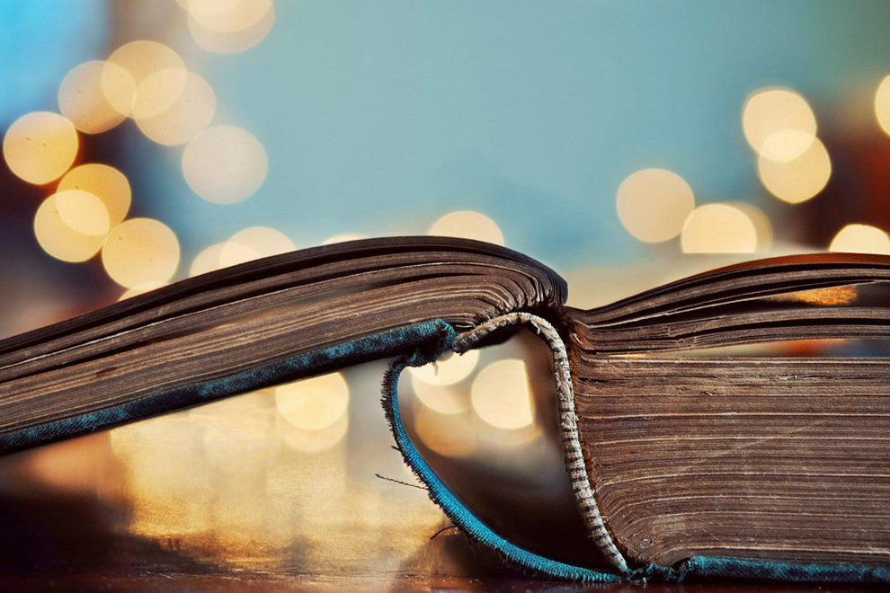 Marmont Hill, "Book Love" Painting Print on Wrapped Canvas, 45x30