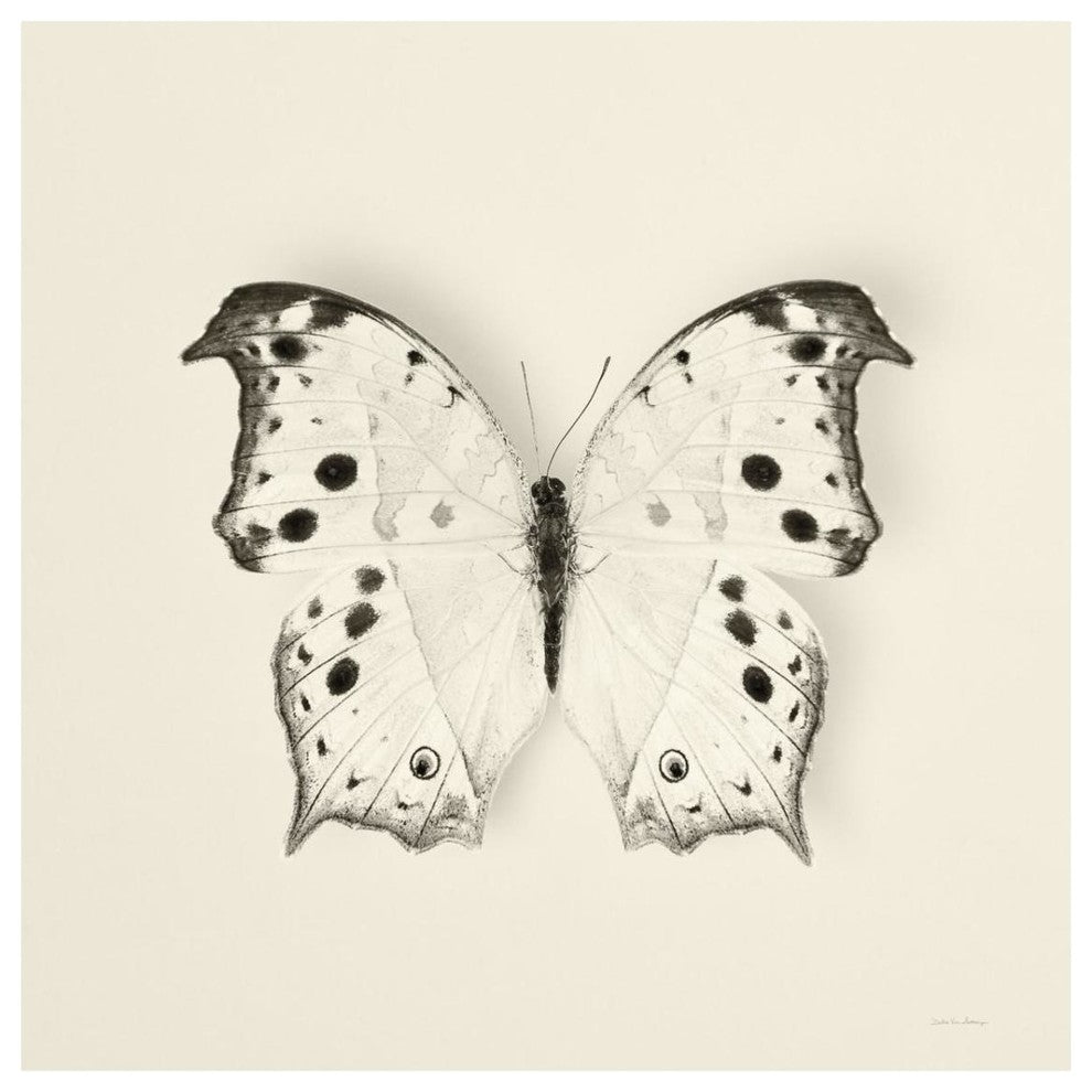 "Butterfly IV - BW" Digital Paper Print by Debra Van Swearingen, 32"x32"