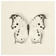 "Butterfly IV - BW" Digital Paper Print by Debra Van Swearingen, 32"x32"