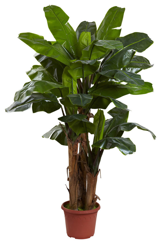 7'' Giant Triple Stalk Banana Tree UV Resistant, Indoor/Outdoor, Green
