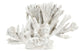 White Coral