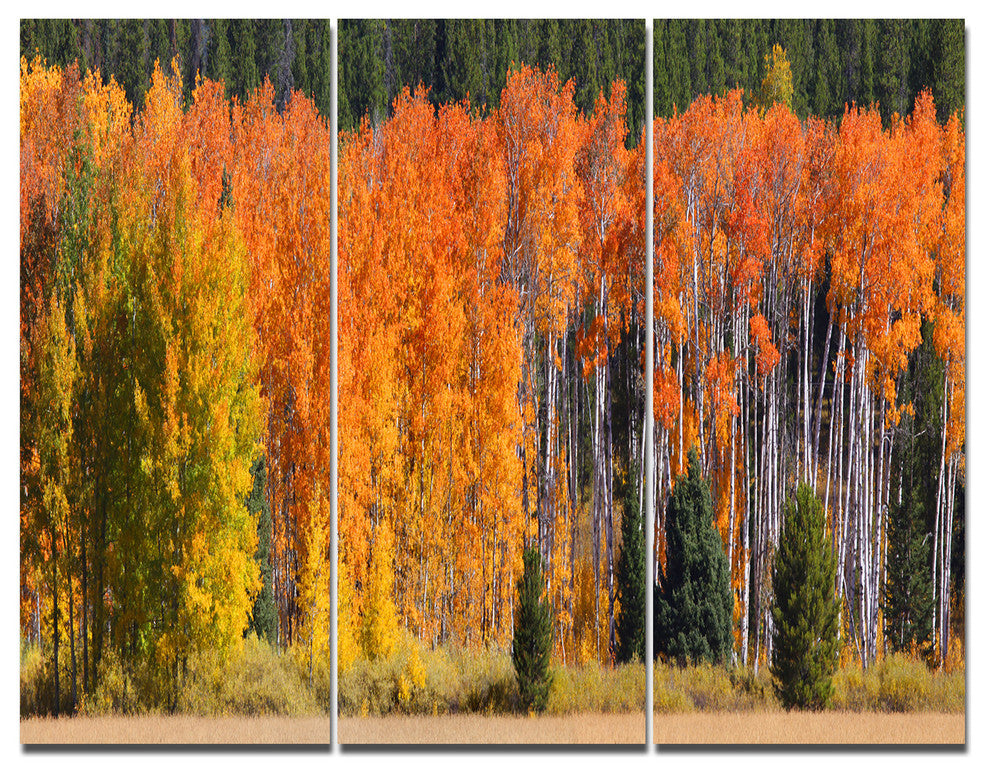 Fall Trees Panorama, Landscape Triptych Canvas Art Print, 36x28, 3 Panels
