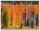 Fall Trees Panorama, Landscape Triptych Canvas Art Print, 36x28, 3 Panels
