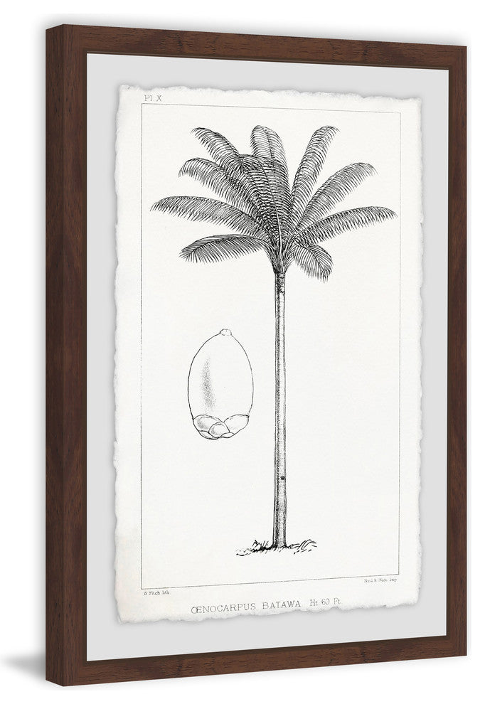 "Amazon Palm Tree" Framed Painting Print, 20"x30"