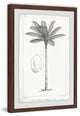 "Amazon Palm Tree" Framed Painting Print, 20"x30"