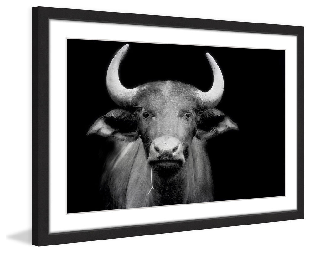 Marmont Hill, "Cow Stare" Framed Painting Print, 36x24