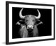 Marmont Hill, "Cow Stare" Framed Painting Print, 36x24