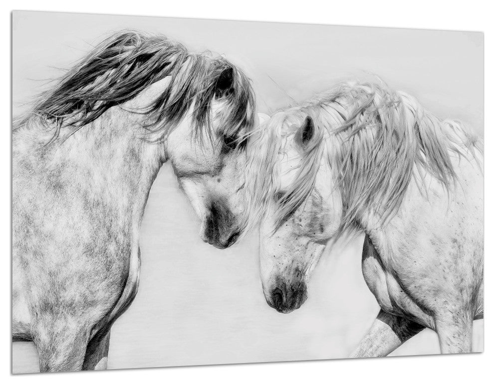 "Caballo Blanco Equine" Frameless Floating Tempered Glass Panel Graphic Wall Art
