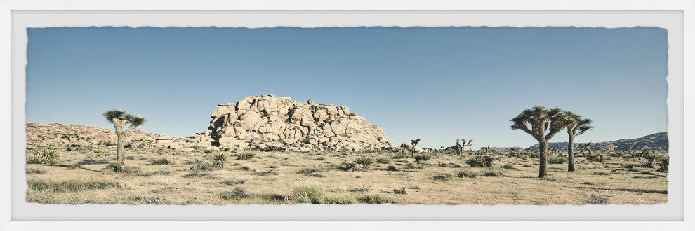 "Beauty Everywhere" Framed Painting Print, 45x15