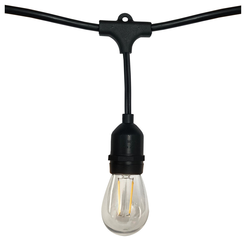 24' Indoor/Outdoor 12-Bulb Standard LED String Light