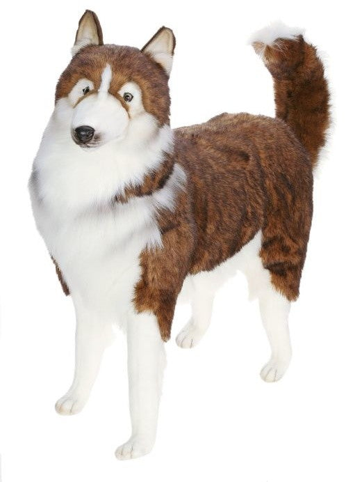 Husky Dog Life-Sized Stuffed Animal