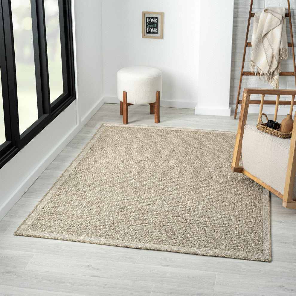 Paolo Modern Solid Brown Indoor Outdoor Area Rug, 2' x 3'