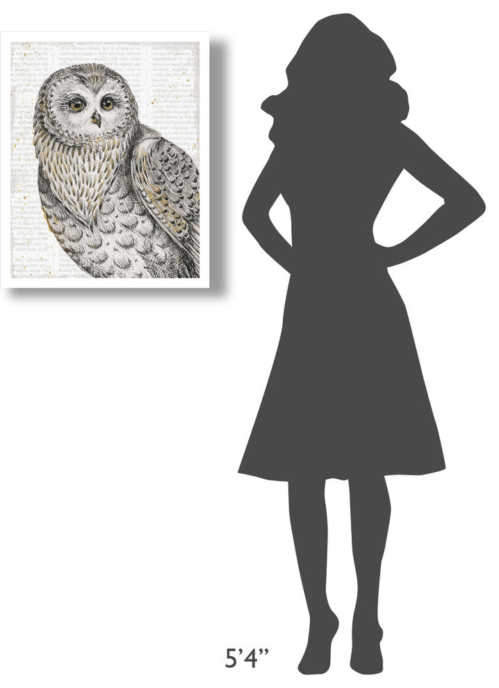 "Beautiful Owls IV" Digital Paper Print by Daphne Brissonnet, 22"x26"