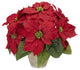 Poinsettia With Ceramic Vase Silk Flower Arrangement