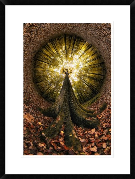 "Four Centuries High" Framed Digital Print by Francois Casanova, 22x30"
