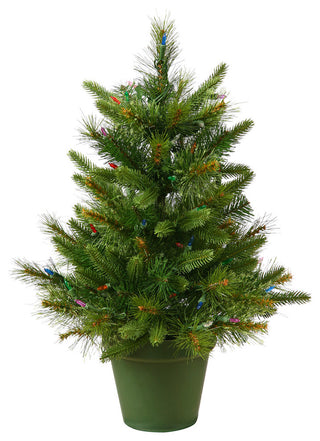 24" X 21" Cashmere Pine Tree 76 Tips