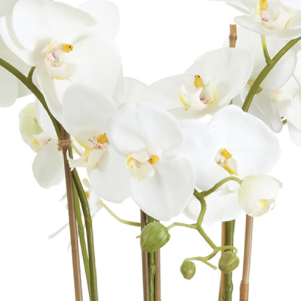Barclay Butera Orchid In Ceramic Bowl, 30"