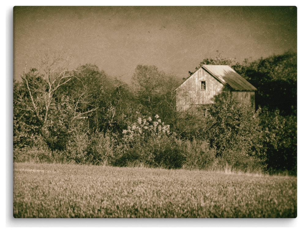 Farmhouse Wall Art: Abandoned Barn Trees Vintage Canvas Print, 18" X 24"