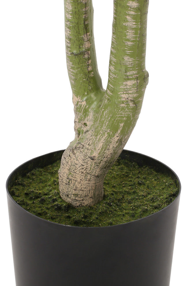 Coles Artificial Money Tree, Green, 31.5wx31.5dx63h