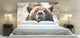 "Bear" Headboard